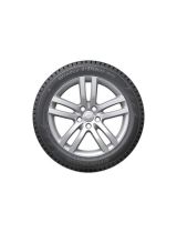 HANKOOK Winter i*Pike RS W419 225/55R17 101T