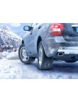 CONTINENTAL ContiWinterContact TS 830 P 255/35R19 96V