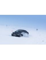 CORDIANT Snow Cross 2 195/65R15 95T