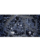 MICHELIN Energy XM2 + 215/60R16 95H