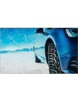 TOYO Observe G3-ICE 205/50R17 89T