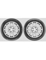 BRIDGESTONE Ecopia EP300 215/55R16 93V