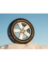 MICHELIN Latitude X-Ice North 2+ 255/55R20 110T