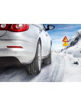 CONTINENTAL ContiWinterContact TS 830 P 215/55R16 93H