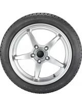 GOODYEAR UltraGrip Performance 2 255/50R21 106H (run-flat)