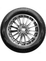 ROADSTONE Eurovis Alpine WH1 225/70R16 103H