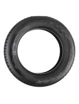 NOKIAN WR D4 215/65R16 102H