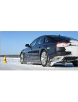 PIRELLI Ice Zero 215/50R17 95T (с шипами)