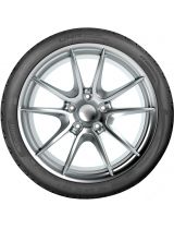 TAURUS Ultra High Performance 205/55R17 95W