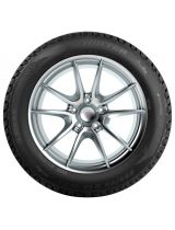 TIGAR Winter 245/45R18 100V