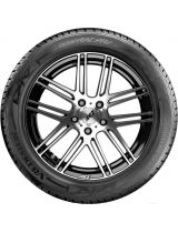 VREDESTEIN Wintrac Pro 255/55R19 111V