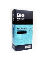 BIG Filter GB-917 Фильтр воздушный