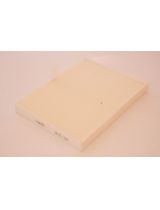 Amiwa 20-01-243 Фильтр салона