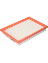 FILTRON AP 182/3 Фильтр воздушный