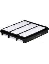 FILTRON AP109/6 Фильтр воздушный