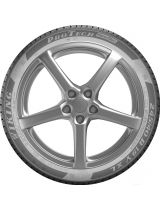 VIKING ProTech NewGen 255/35R19 96Y