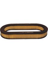 FILTRON AE 336 Фильтр воздушный