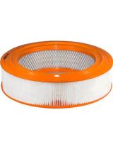 FILTRON AR 309/1 Фильтр воздушный