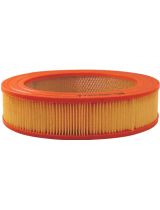 FILTRON AR 270 Фильтр воздушный