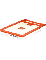 FILTRON AP 183/5 Фильтр воздушный