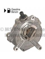 PIERBURG 7.24807.20.0 Насос вакуумный