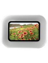 TEKNOROT AF-307 Рычаг подвески