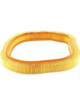 BOSCH 1 457 429 787 Фильтр воздушный