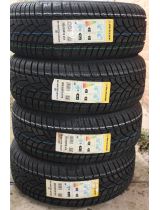 DUNLOP SP Winter Sport 3D 225/60R17 99H (run-flat)