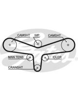 GATES 5557XS Ремень ГРМ