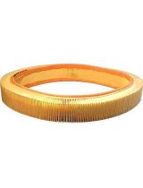 FILTRON AR 036/1 Фильтр воздушный