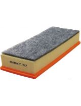 FILTRON AP 135/6 Фильтр воздушный