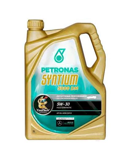 Моторное масло SYNTIUM 5000 DM 5W-30 5л