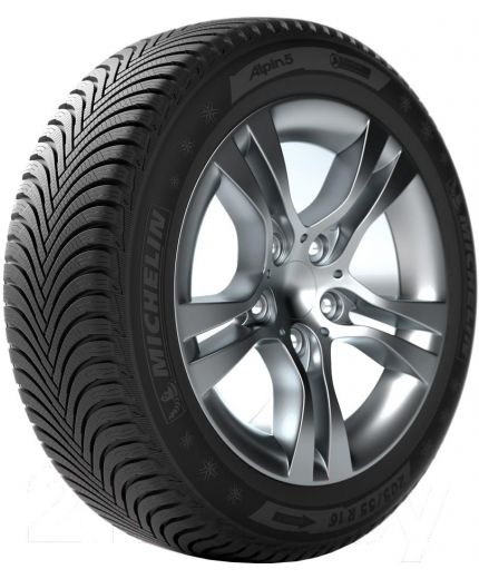 MICHELIN Alpin 5 205/50R17 89V (run-flat)