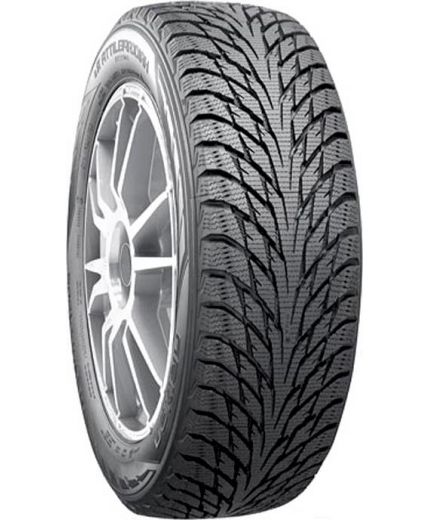 NOKIAN Hakkapeliitta R2 225/55R17 101R