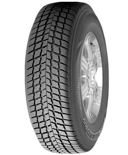 ROADSTONE Winguard SUV 215/65R16 98H