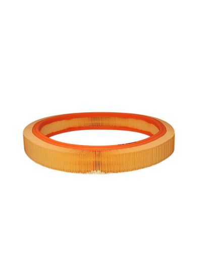 FILTRON Фильтр воздушный Фото 2