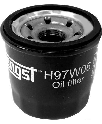 Hengst Фильтр масляный Фото 2