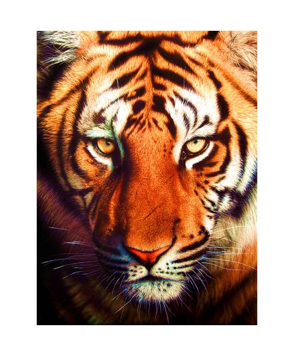 BIG Filter Фильтр топливный