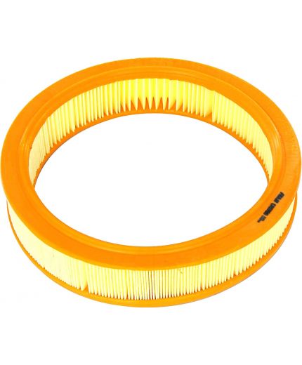 FRAM Фильтр воздушный Фото 2