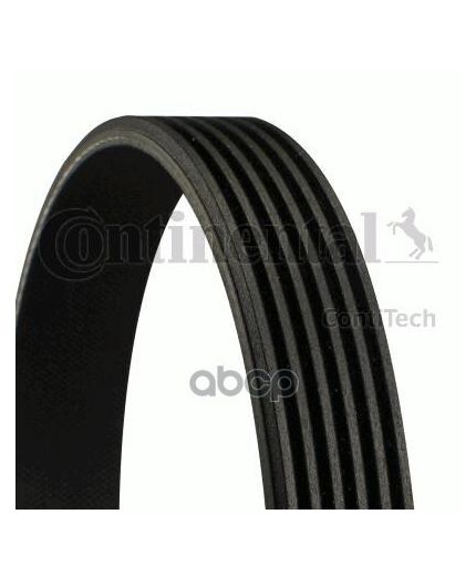 CONTITECH Ремень поликлиновой