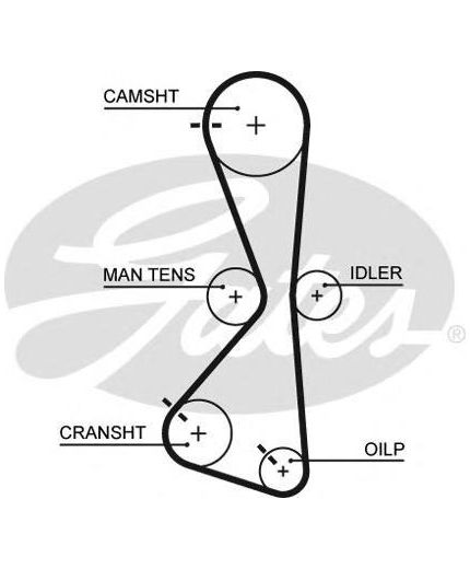 GATES Ремень ГРМ