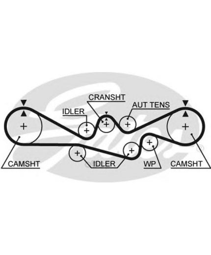 GATES Ремень ГРМ