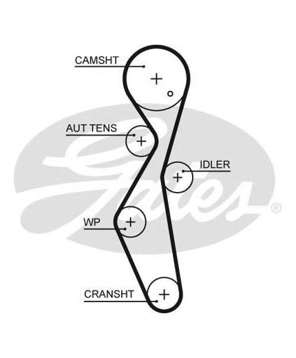 GATES Ремень ГРМ