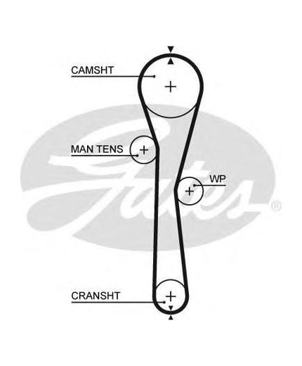 GATES Ремень ГРМ