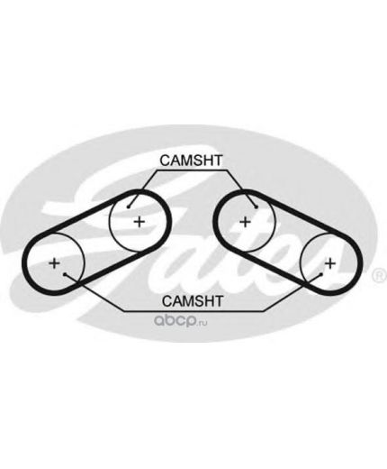 GATES Ремень ГРМ