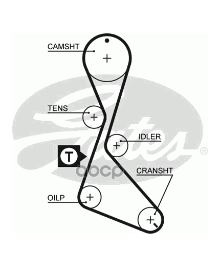 GATES Ремень ГРМ