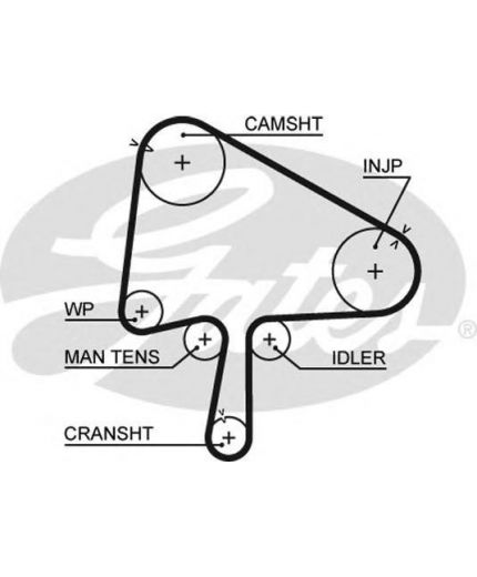 GATES Ремень ГРМ