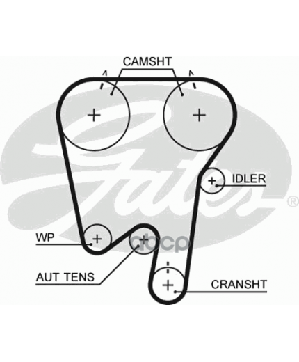 GATES Ремень ГРМ