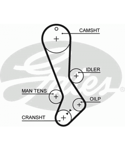 GATES Ремень ГРМ