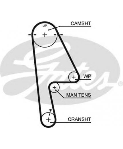 GATES Ремень ГРМ